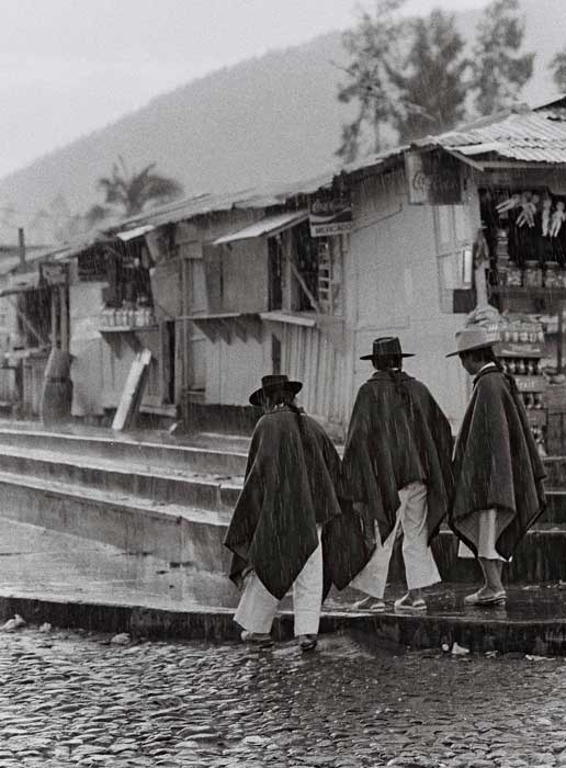 Mon ami groenlandais Titus 